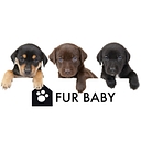 Fur Baby Rescue logo