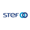 STEF logo