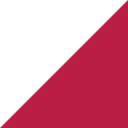 DIgSILENT GmbH logo