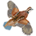Kevin's Guns and Sporting Goods logo