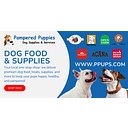 Pampered Puppies logo