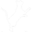 Marina's Maine Coons logo