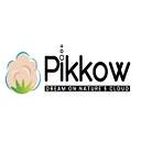Pikkow logo