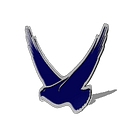 Soar Environmental Consulting Inc logo