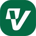 VergeTel Networks logo