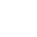 Expert Cleaners LLC logo