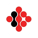 Retisoft logo