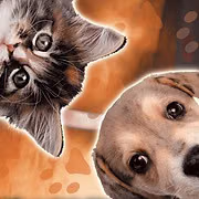 Shelter Veterinary logo