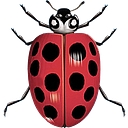 All Pest Solutions logo