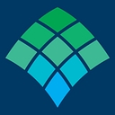 AHN Saint Vincent logo