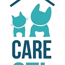 CARE STL logo