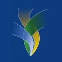 XNAT logo