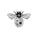 Archive Floral Preservation logo