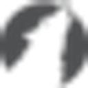 Wolf Mortgage logo