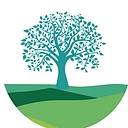Valley View Health logo