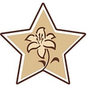 Stargazer Fine Chocolates and Coffee logo