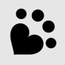 Companion Senior Placement logo