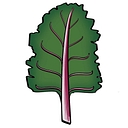 The Nutrivore Chef logo