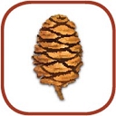 Sequoia Ecological Consulting logo