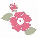 WildRose Medicine logo