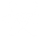 Plug and Power Spas logo