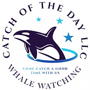 icystraitwhaletours.com favicon
