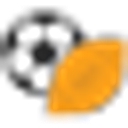 Classic Team Sports logo