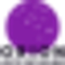 Orion Auto Detailing logo