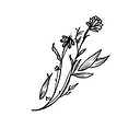Crimson Clover Flower Farm logo
