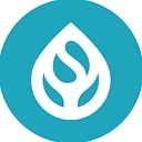 Sustainable Surf logo