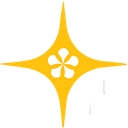 The Dancing Accountant logo
