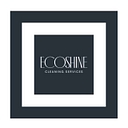 EcoShine logo
