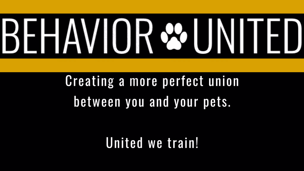 Behavior United logo