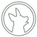 DogFit Dallas logo