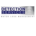 Detection Services logo