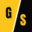 Gary Safir logo