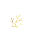 Avalon Psychotherapy logo