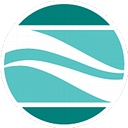Cashins & Associates logo