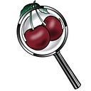 CherryEdits logo
