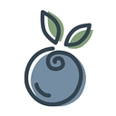 Organically Addison logo