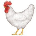 All Hearts Farm logo
