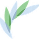 Seattle Counseling and Wellness logo
