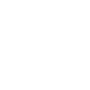 The Franchise Navigator logo