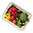 Lightsey Farms logo