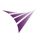 1V1sion Capital logo