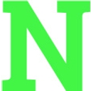 Natural Mold Solution logo