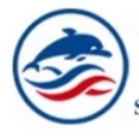 Flipsky logo
