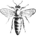 Eleish Van Breems logo