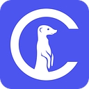 Curious Thing logo