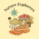 Nashville Nature Explorers logo